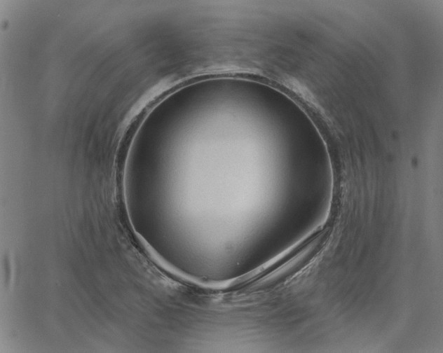 X0000063451173200601271531