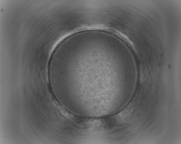 X0000063451174200601271531