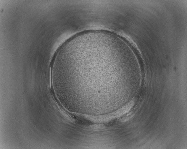 X0000063451175200601271531