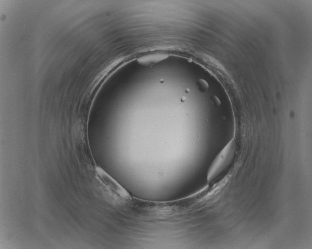 X0000063451177200601271531