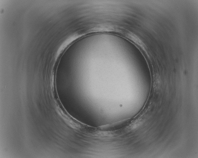 X0000063451179200601271531