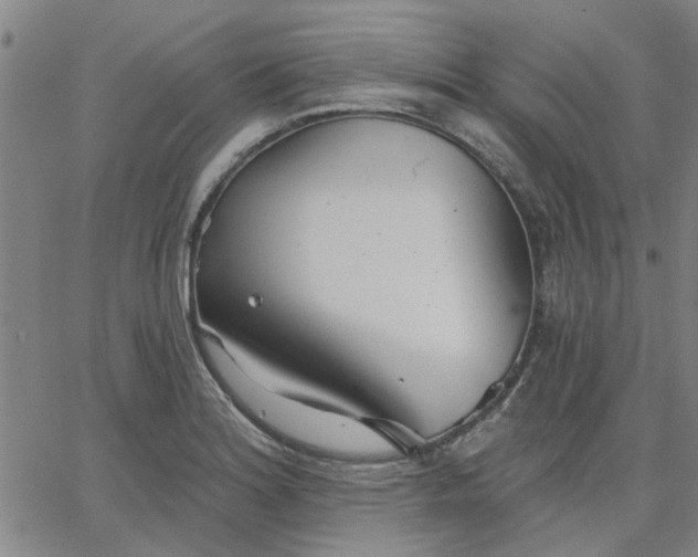 X0000063451180200601271531