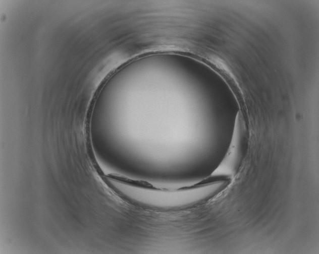 X0000063451181200601271531