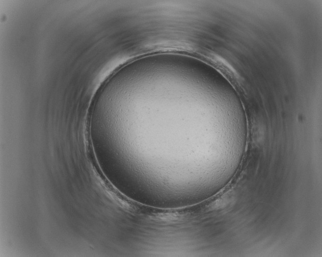 X0000063451182200601271531