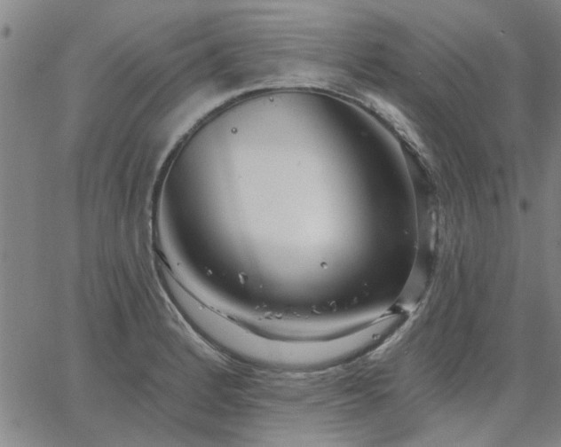 X0000063451184200601271531