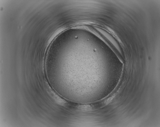 X0000063451186200601271531