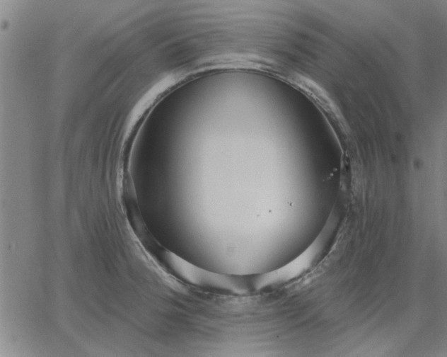 X0000063451188200601271531