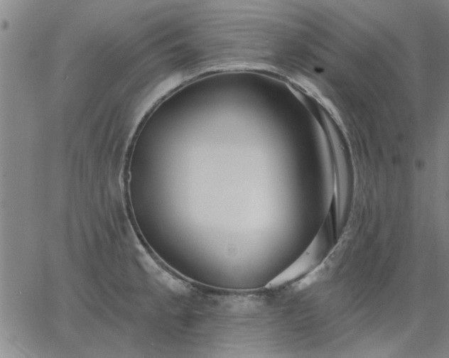 X0000063451189200601271531