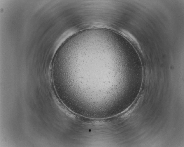 X0000063451190200601271531