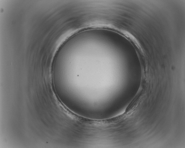 X0000063451191200601271531