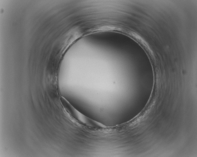 X0000063451193200601271531