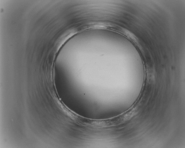 X0000063451194200601271531