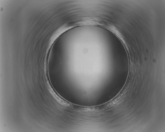 X0000063451195200601271531