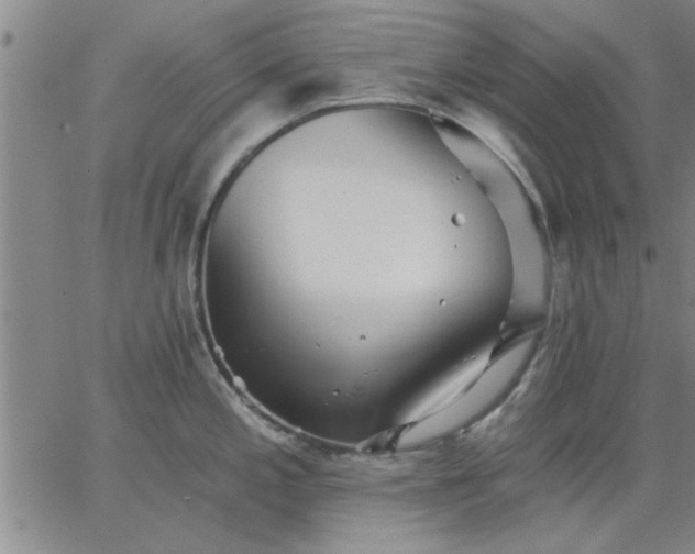 X0000063451197200601271531