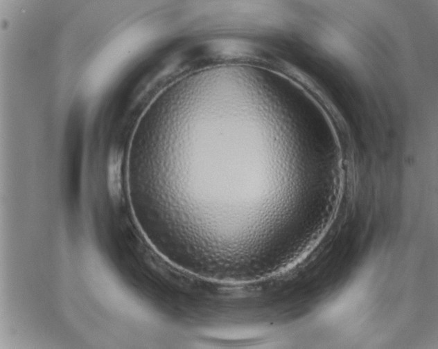 X0000063451199200601271531