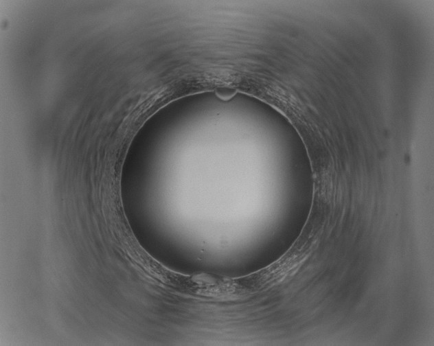 X0000063451201200601271530