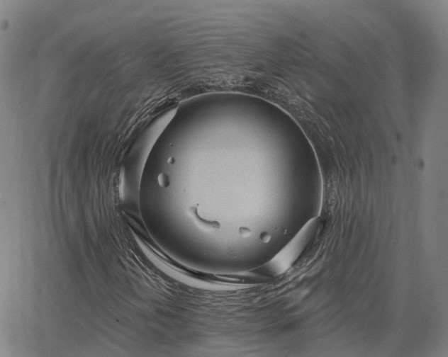 X0000063451202200601271530