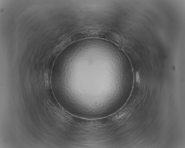 X0000063451203200601271530