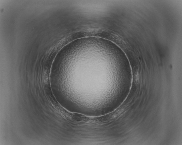 X0000063451204200601271530