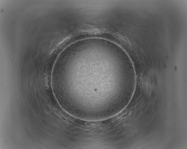 X0000063451205200601271530