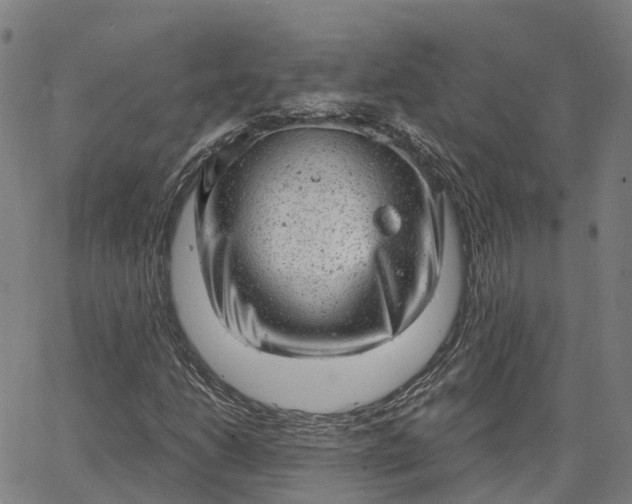 X0000063451206200601271530