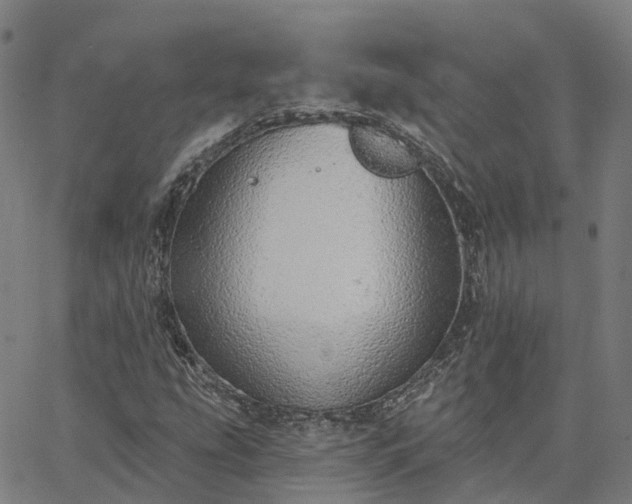 X0000063451207200601271530