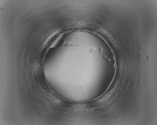 X0000063451210200601271530