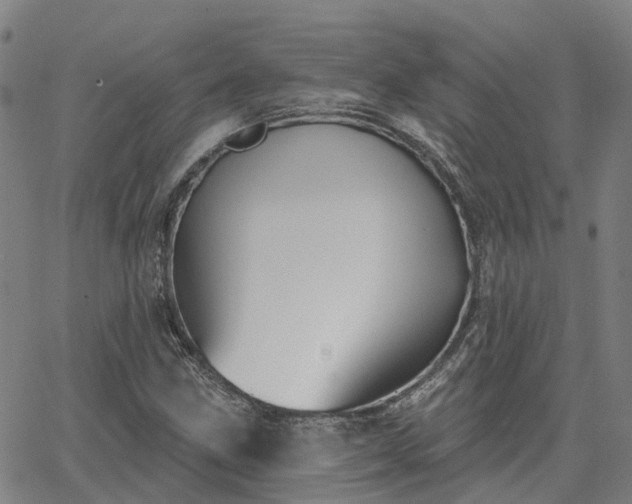 X0000063451211200601271530