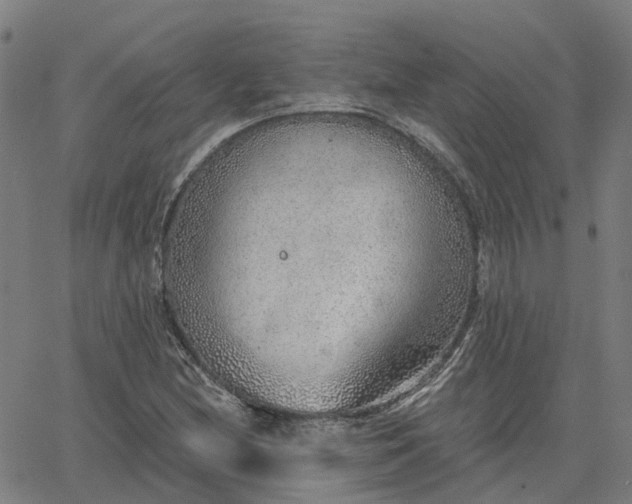 X0000063451212200601271530