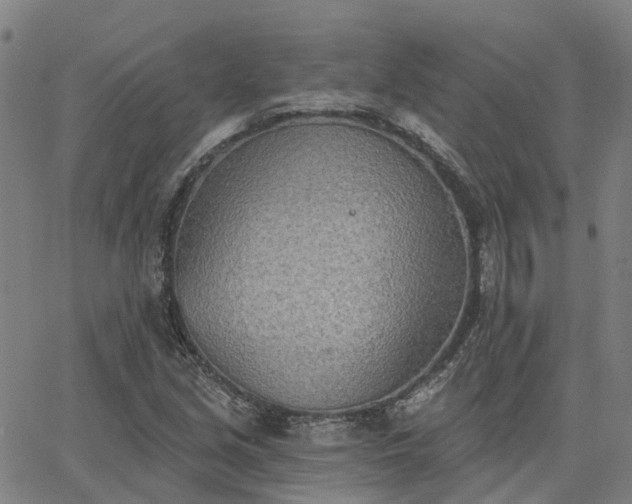 X0000063451213200601271530