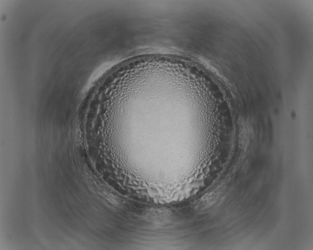 X0000063451215200601271530