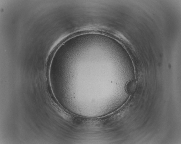 X0000063451216200601271530