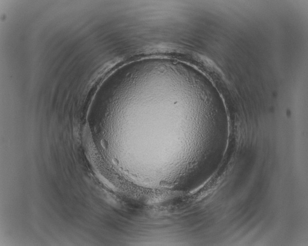 X0000063451217200601271531