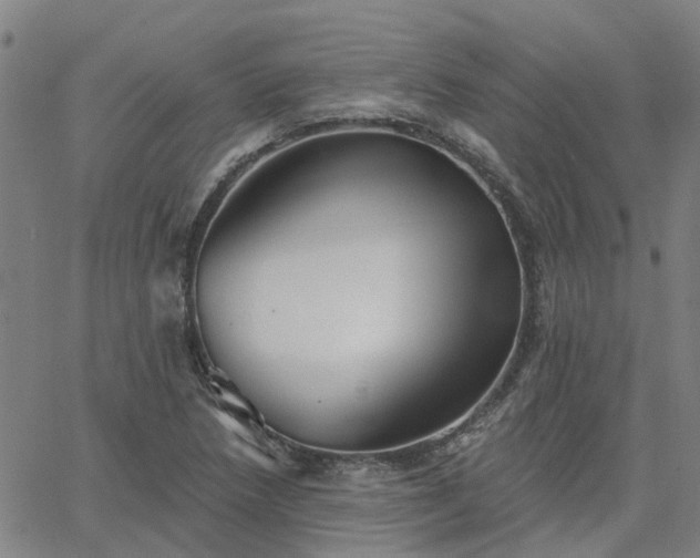 X0000063451218200601271531