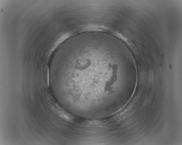 X0000063451219200601271531