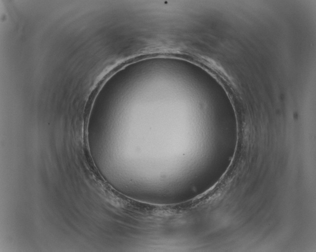 X0000063451220200601271531