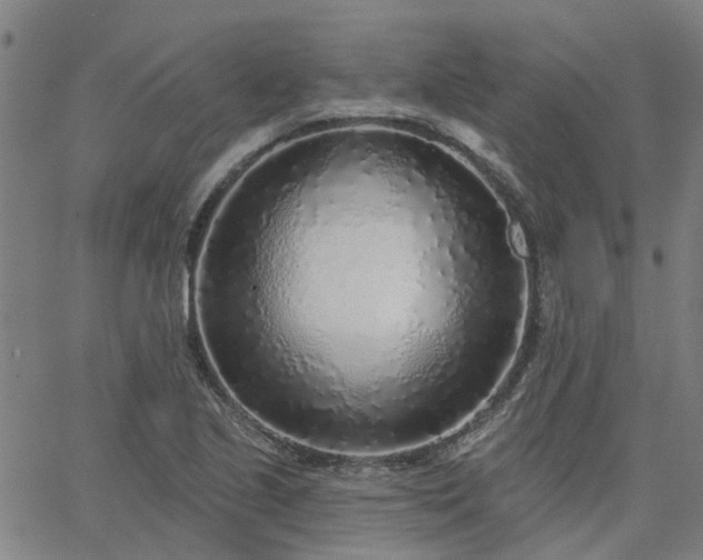 X0000063451221200601271531