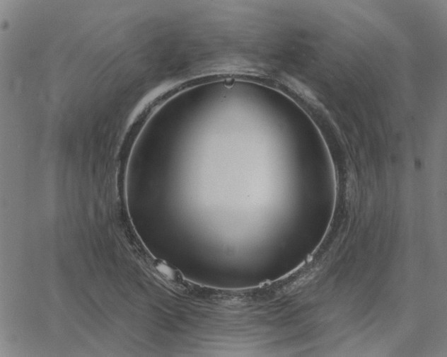 X0000063451222200601271531