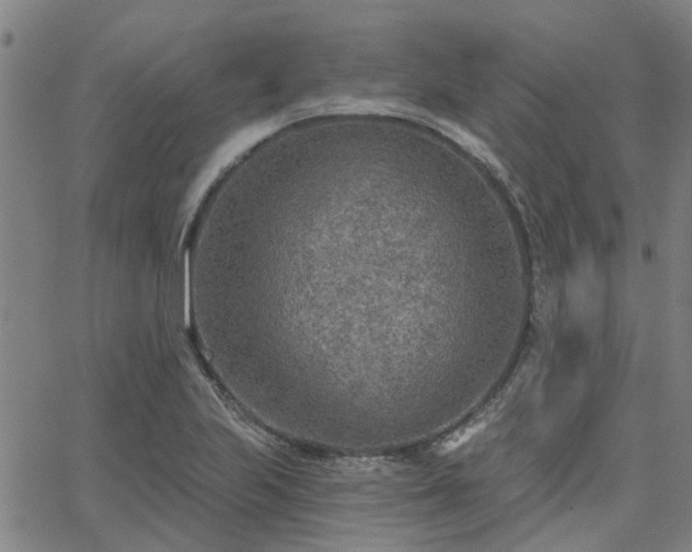 X0000063451223200601271531