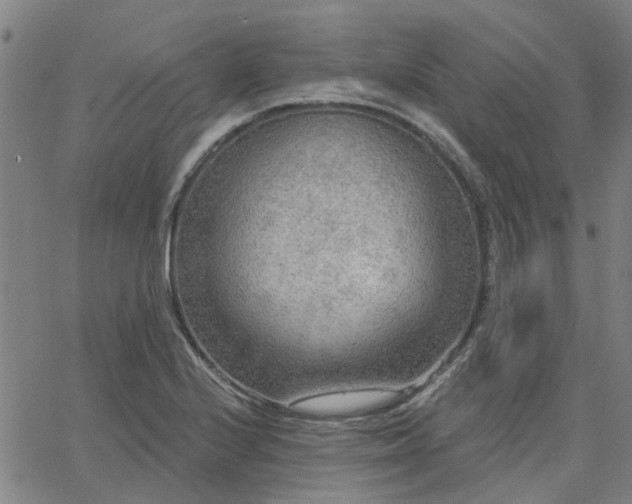 X0000063451224200601271531