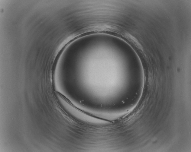 X0000063451226200601271531