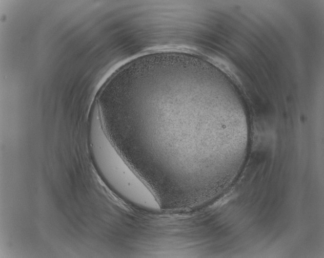 X0000063451228200601271531