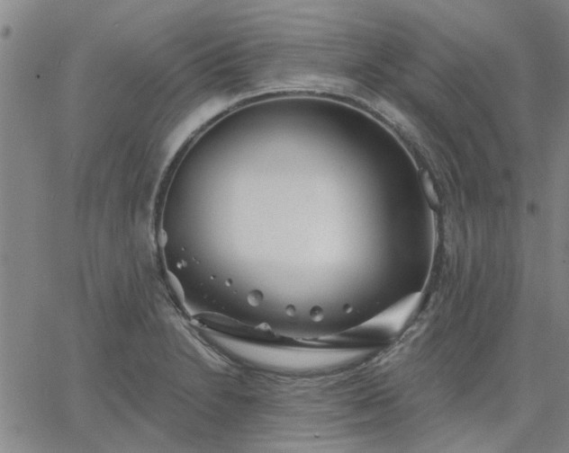 X0000063451230200601271531