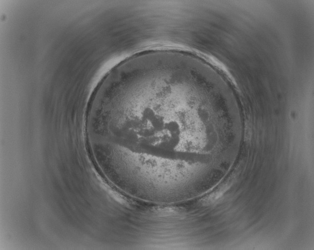 X0000063451231200601271531