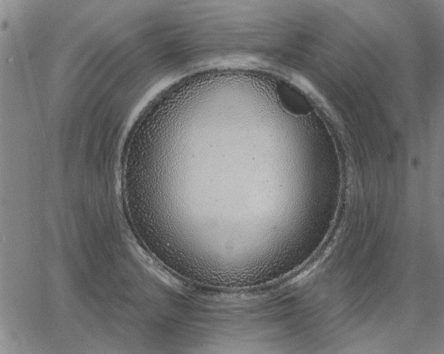 X0000063451232200601271531