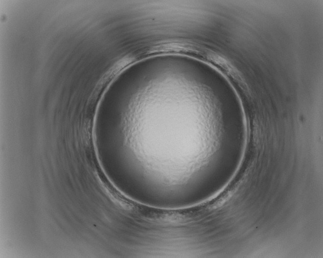 X0000063451233200601271531