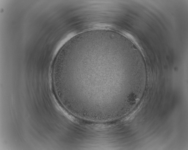 X0000063451235200601271531