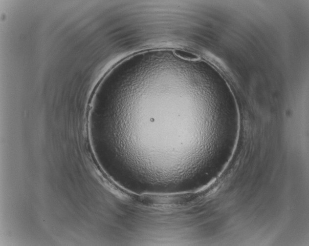 X0000063451236200601271531