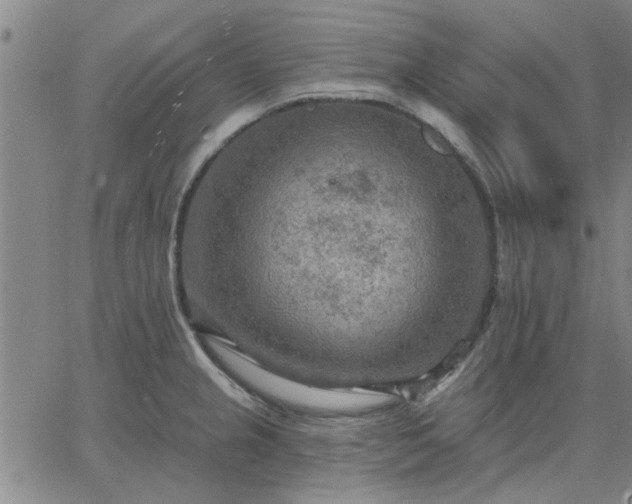 X0000063451237200601271531