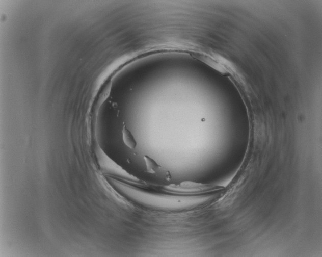 X0000063451238200601271531